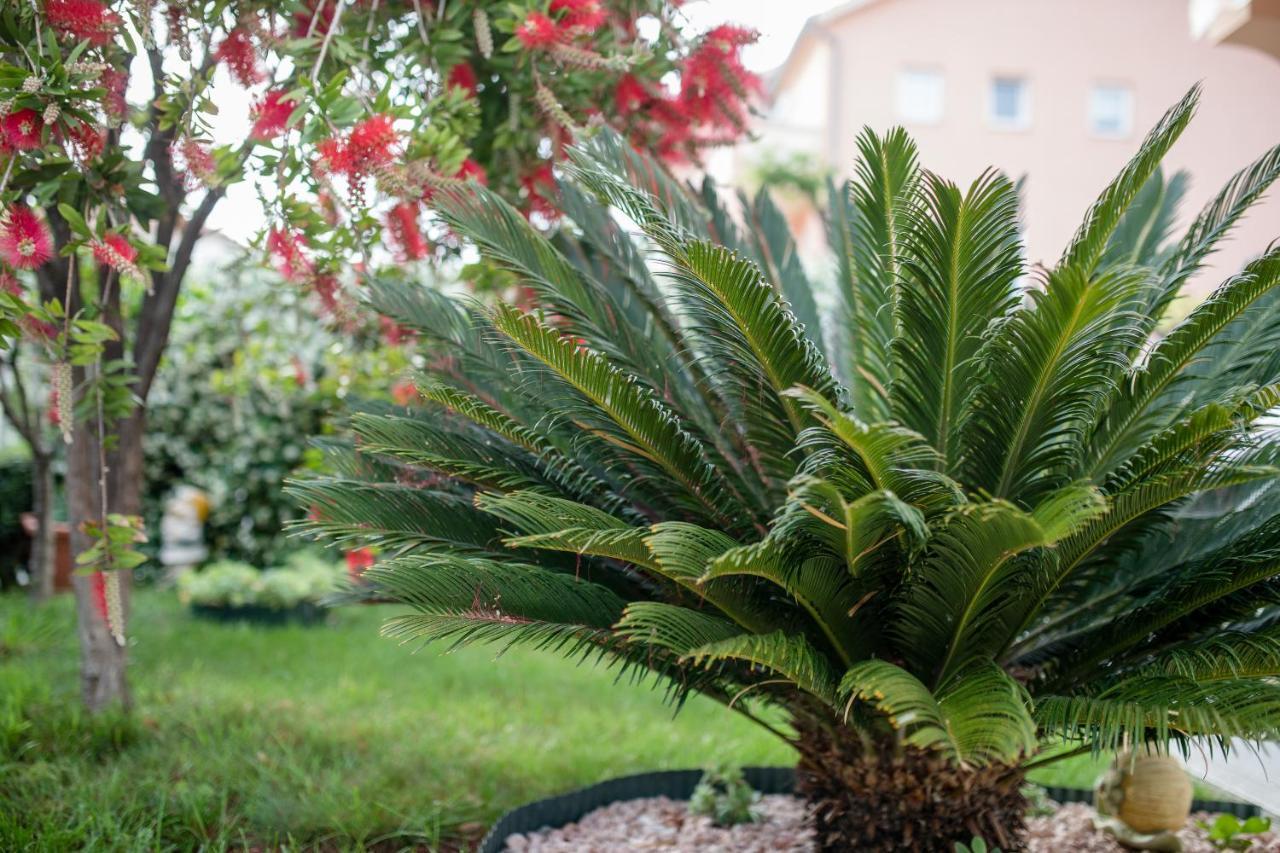 Apartmani Marica Beg Palit Bagian luar foto